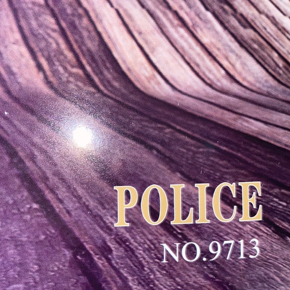 Police Costume - Picture 3 of 7